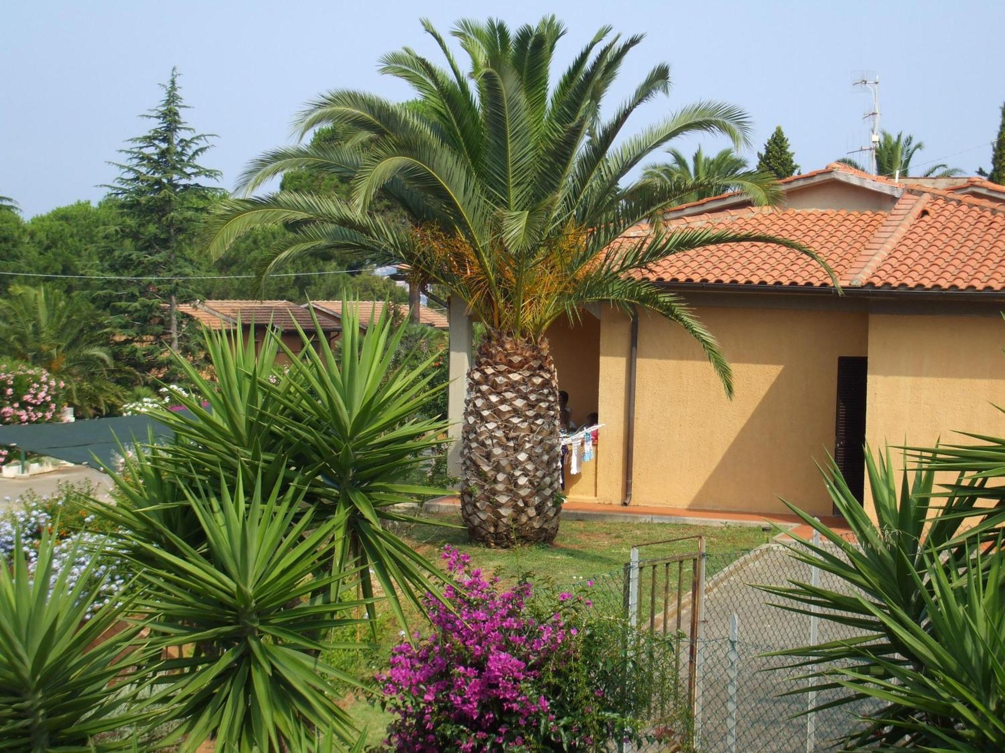 Residence Alithai Portoferraio Exterior photo